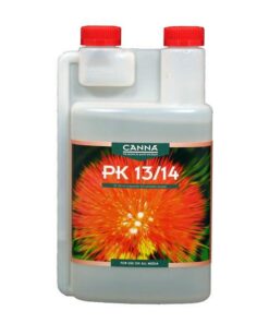 Canna - PK 13-14