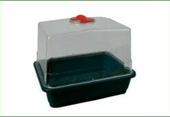 Mini Drivhus
