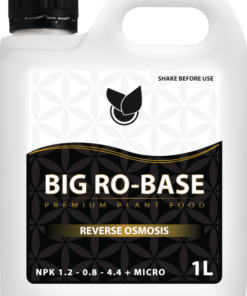 BIG Ro-BASE