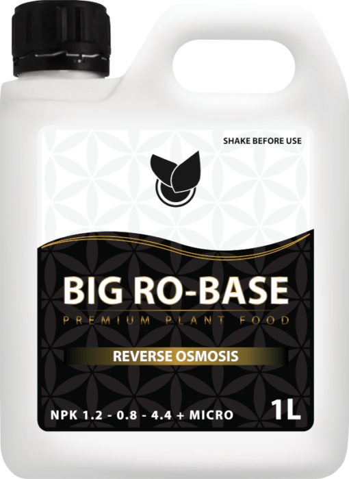 BIG Ro-BASE