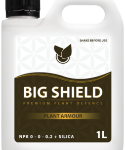 BIG Shield