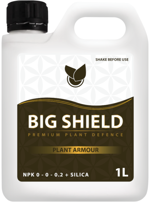 BIG Shield