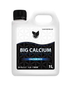 BIG CALCIUM 1 L