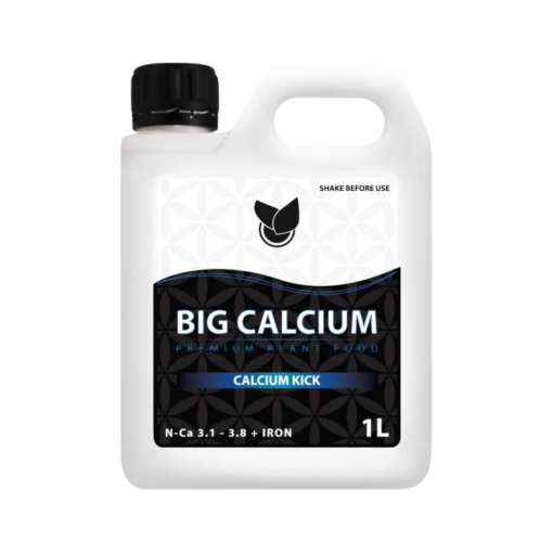 BIG CALCIUM 1 L