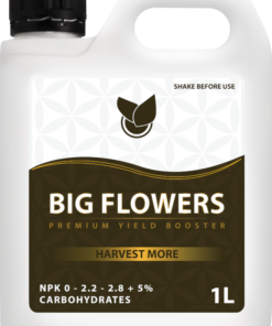 BIG FLOWERS 1L