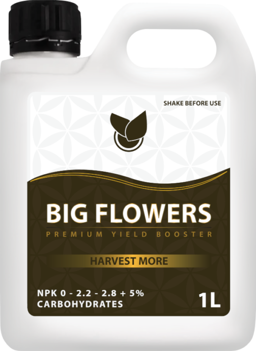 BIG FLOWERS 1L