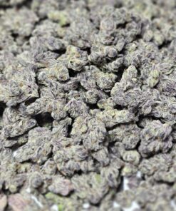 Nærbillede af Idunn's Apples cannabis knop fra Asgaard Genetics med masser af hvide krystaller