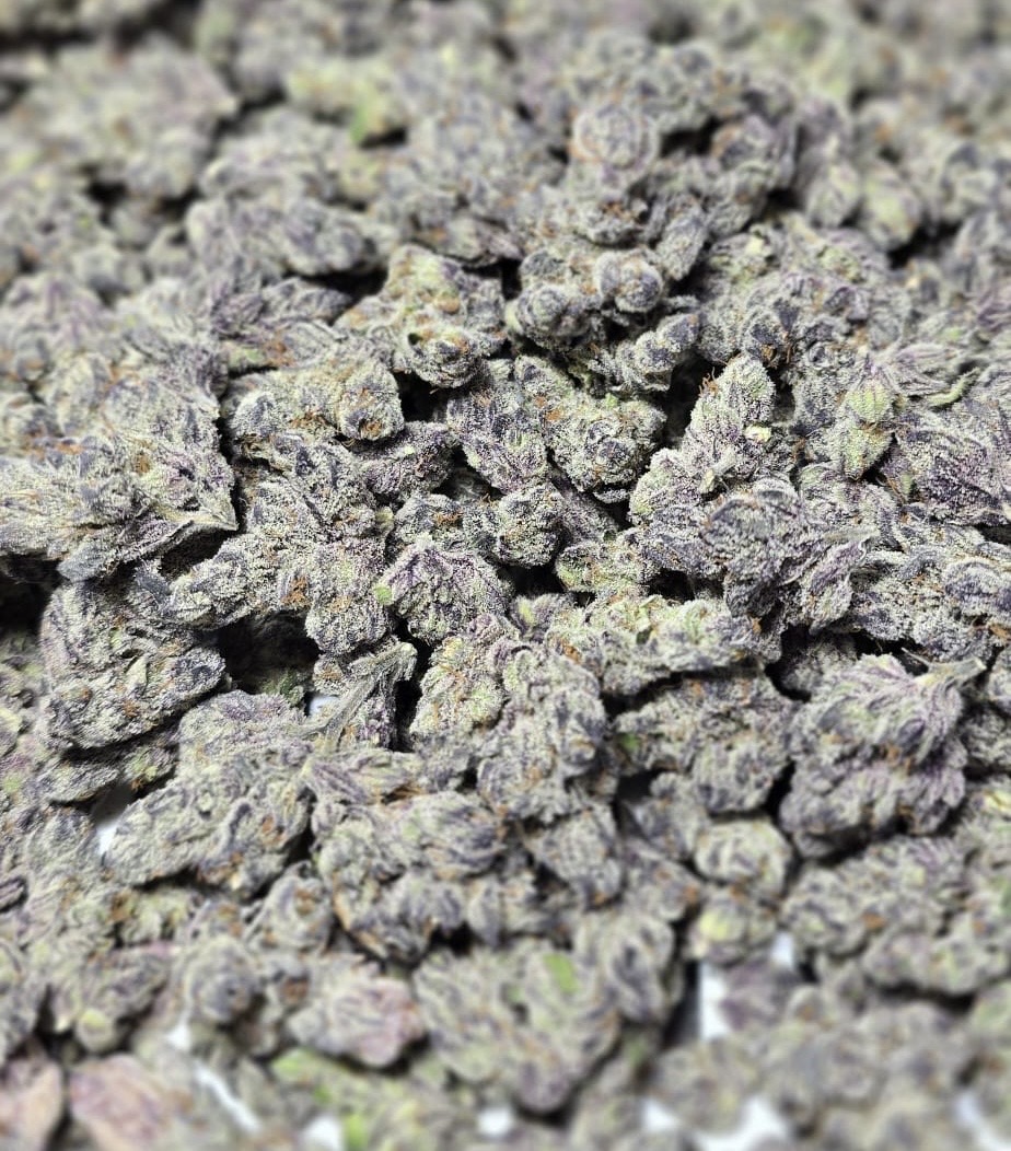 Nærbillede af Idunn's Apples cannabis knop fra Asgaard Genetics med masser af hvide krystaller