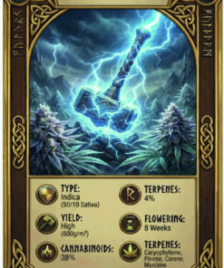 Illustration af Thors hammer Mjolnir inspireret af Asgaard Genetics