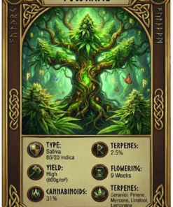 Kunstnerisk illustration af verdenstræet Yggdrasil inspireret af Asgaard Genetics branding